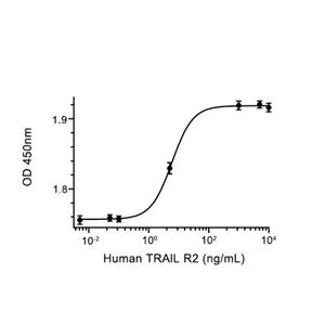 TRAIL R2/TNFRSF10B蛋白, Human,TRAIL R2/TNFRSF10B Protein, Human
