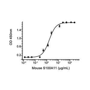 S100A11蛋白, Mouse (His)