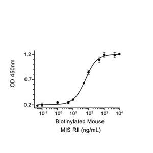 Muellerian-inhibiting factor/AMH蛋白, Mouse (P.pastoris, His)