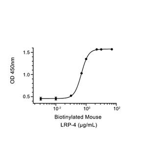 MUSK蛋白, Mouse (Myc, His-SUMO)