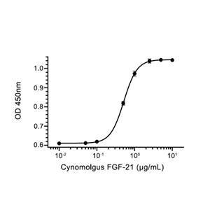 FGF-21蛋白, Cynomolgus (HEK293, His)