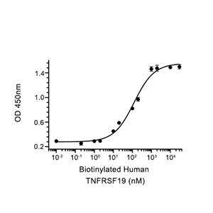 TROY/TNFRSF19蛋白, Human (HEK293, His),TROY/TNFRSF19 Protein, Human (HEK293, His)