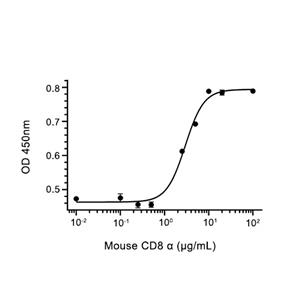 CD8 alpha蛋白, Mouse (HEK293, Fc)