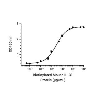 IL-31蛋白, Mouse (HEK293, His)