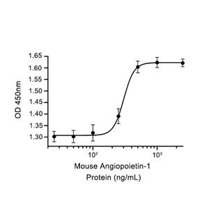 Angiopoietin-1蛋白, Mouse (HEK293, His, solution)