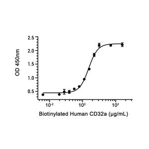 Pentraxin 2/SAP蛋白, Rat (HEK293, His)