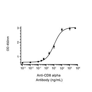 CD8 alpha蛋白, Cynomolgus (HEK293, Fc)