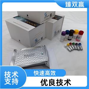 人Janus激酶3(JAK3)ELISA试剂盒,Human JAK3 ELISA KIT