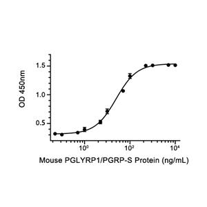 PGLYRP1/PGRP-S蛋白, Mouse (HEK293, His)