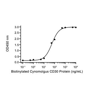 CD30/TNFRSF8蛋白, Cynomolgus (194a.a, HEK293, His)