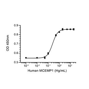 MCEMP1蛋白, Human (HEK293, Fc)