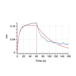 CLEC12A/MICL蛋白, Human (Biotinylated, HEK293, His-Avi)