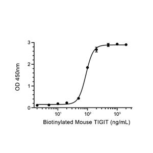 TIGIT蛋白, Mouse (HEK293, mFc)