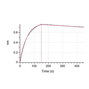LRRC15蛋白, Human (Biotinylated, HEK293, His-Avi)