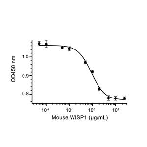 WISP1/CCN4蛋白, Mouse (HEK293, His)