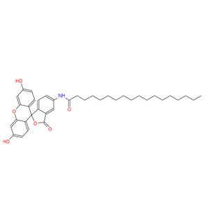 5-(十八酰基氨基)荧光素荧光用,5-(Octadecanoylamino)fluorescein
