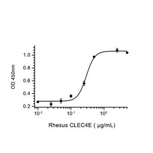CLEC4E蛋白, Rhesus Macaque (HEK293, Fc)