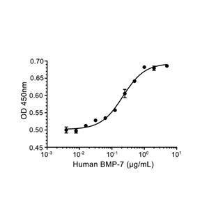 BMP-7蛋白, Human (His)