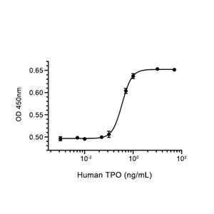 Animal-Free TPO/Thrombopoietin蛋白, Human (His),Animal-Free TPO/Thrombopoietin Protein, Human (His)