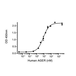 Animal-Free AGER蛋白, Human (His),Animal-Free AGER Protein, Human (His)