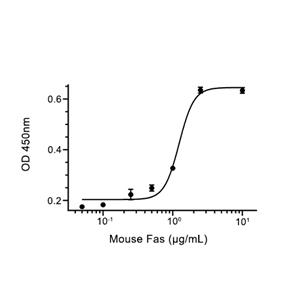 Fas/CD95蛋白, Mouse (HEK293, Fc)