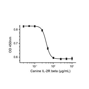 IL-2R beta/CD122蛋白, Canine (HEK293, His)