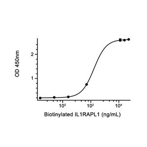 PTPRD蛋白, Human (HEK293, His)