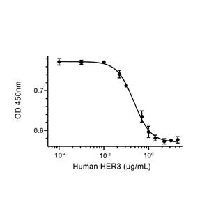 HER3蛋白, Human (HEK293, His, solution)