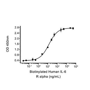 gp130/IL6ST蛋白, Human (HEK293, His)