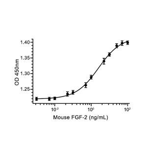 FGF-2蛋白, Mouse (145a.a)