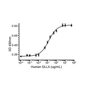 Delta-like蛋白 4/DLL4蛋白, Human (HEK293, His)