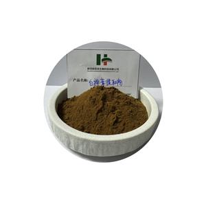 白桦茸提取物,Chaga mushroom extract
