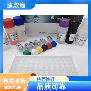 人补体C3转化酶(C3 Convertase)ELISA试剂盒,Human C3 Convertase ELISA KIT