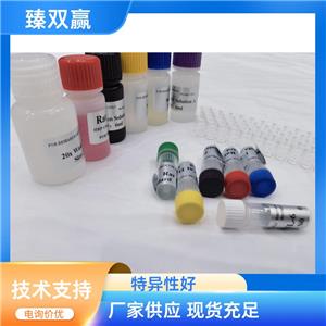 人补体因子H(CFH)ELISA试剂盒,Human CFH ELISA KIT