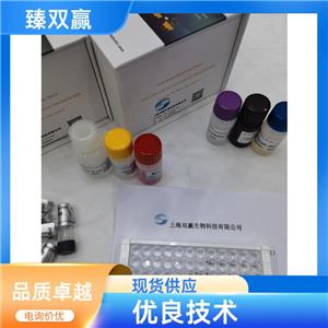 人补体C3转化酶(C3 Convertase)ELISA试剂盒,Human C3 Convertase ELISA KIT
