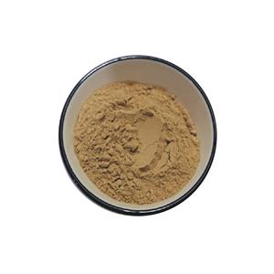 桑白皮提取物,Mulberry bark extract