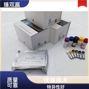 人钙结合蛋白卷曲螺旋区2(CALCOCO2)ELISA试剂盒