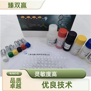 人胰岛细胞抗体(ICA)ELISA试剂盒,ICA ELISA Kit