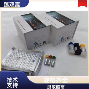 人apelin蛋白(APLN)ELISA试剂盒,APLN Elisa kit