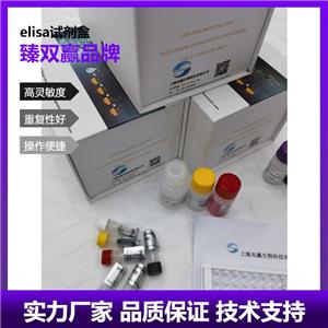 人吡咯啉-5-羧酸还原酶1，线粒体(PYCR1)ELISA试剂盒