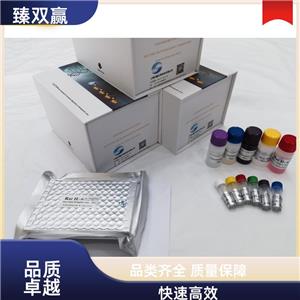 人半乳糖苷酶β(GLb)ELISA试剂盒