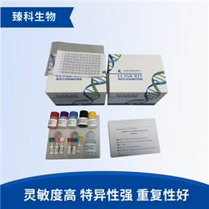 人二氢乳清酸脱氢酶(DHODH）检测试剂盒（ELISA法）