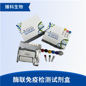 人唾液淀粉酶（SAA)检测试剂盒（ELISA法）