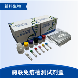 人亮氨酰氨基肽酶(LAP）elisa试剂盒