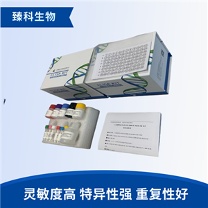 人酪氨酸激酶2(Tyk-2）elisa试剂盒