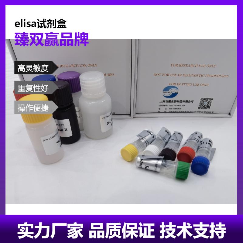 人T4多聚核苷酸激酶(T4PNK)ELISA试剂盒