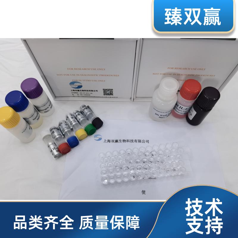 人补体C3转化酶(C3 Convertase)ELISA试剂盒,Human C3 Convertase ELISA KIT