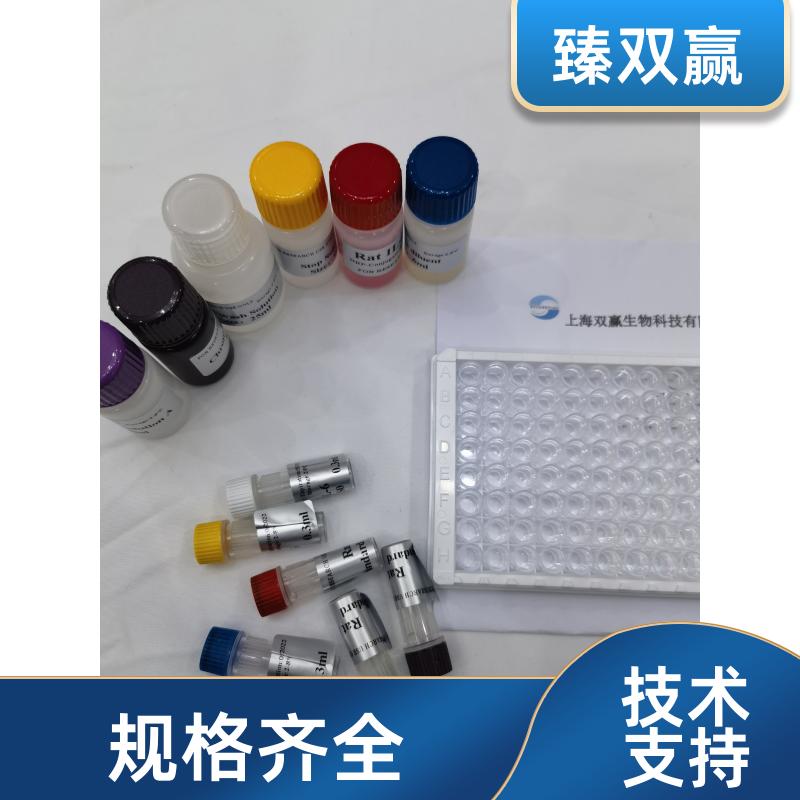 人S100钙结合蛋白(S100)ELISA试剂盒,Human S100 ELISA KIT