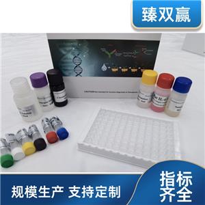 人白细胞介素40(IL-40)ELISA试剂盒