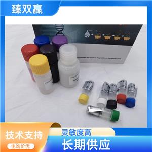 人总β淀粉样蛋白(Aβ)ELISA试剂盒